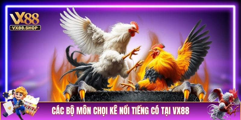 Các bộ môn chọi kê nổi tiếng có tại VX88