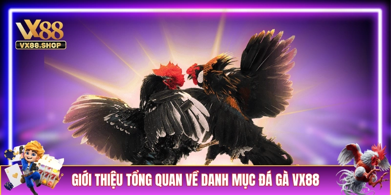 Giới thiệu tổng quan về danh mục đá gà VX88